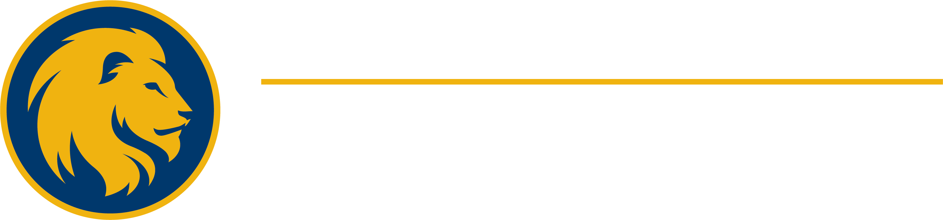 University Logo