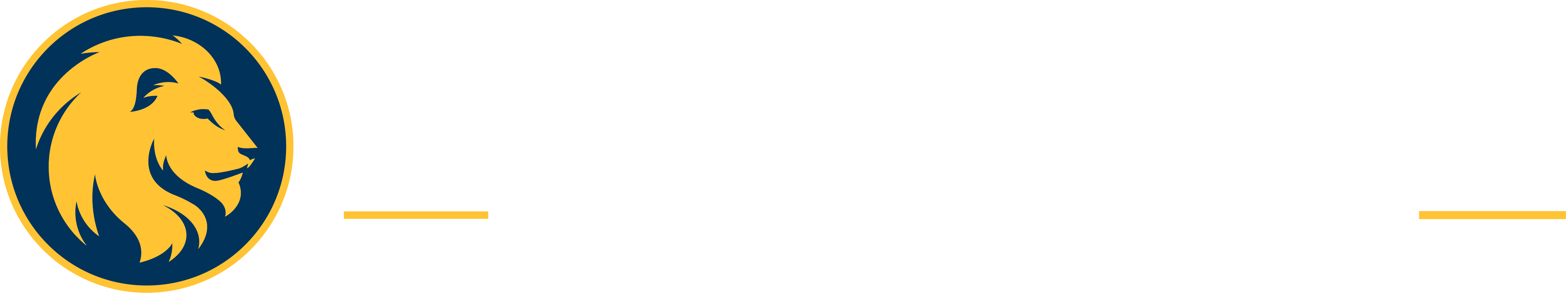 University Logo